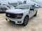 2024 Ford F150 PU STX
