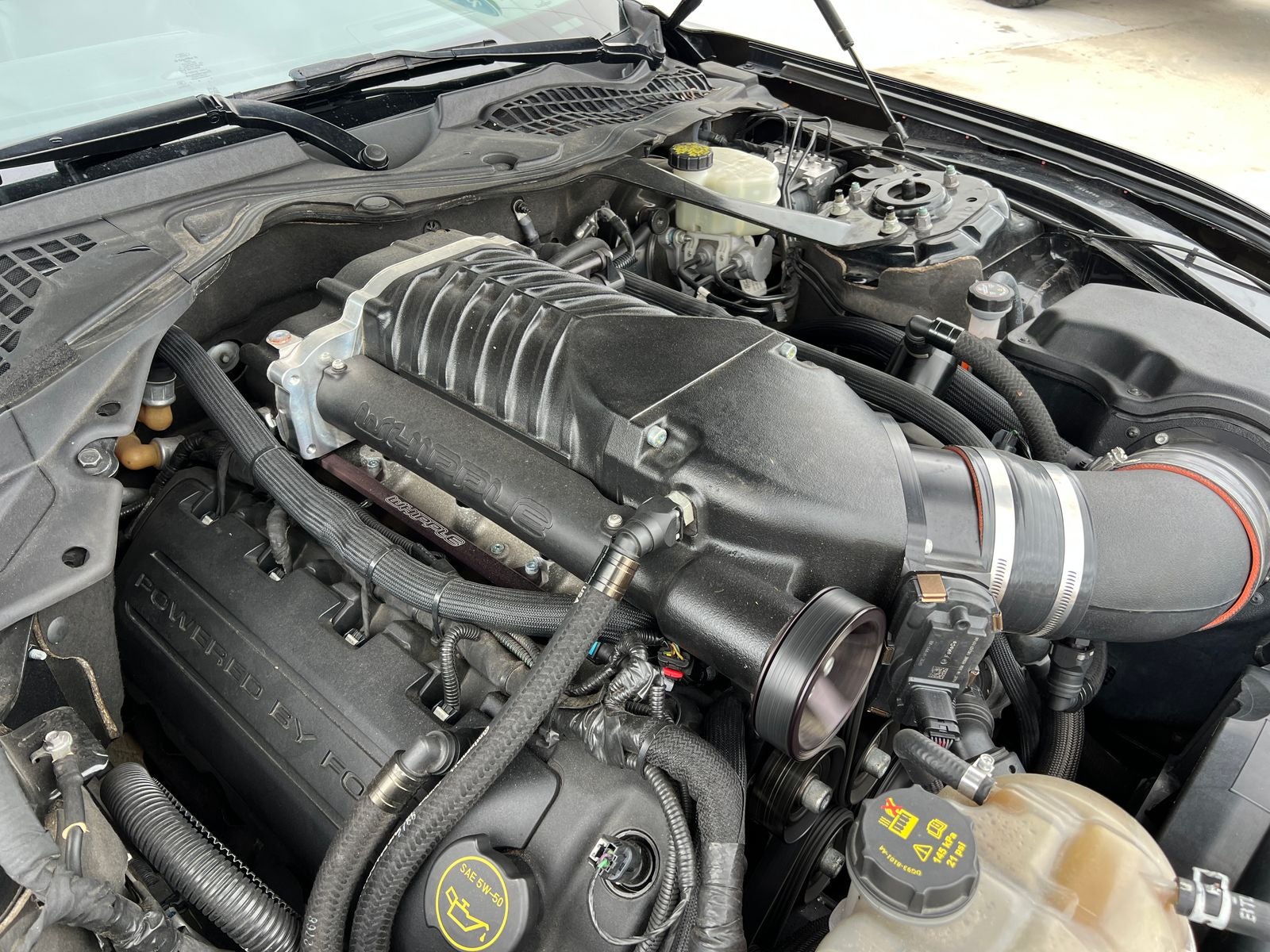 2016 Ford Mustang Shelby GT350