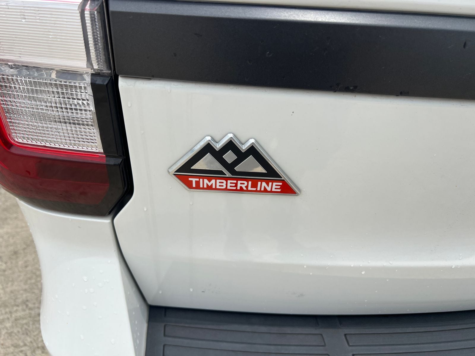 2022 Ford Expedition Timberline
