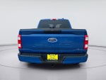 2023 Ford F150 PU XL