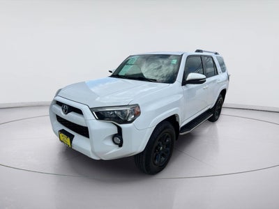 2019 Toyota 4Runner SR5 Premium