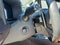 2025 Lexus GX GX 550 Luxury+