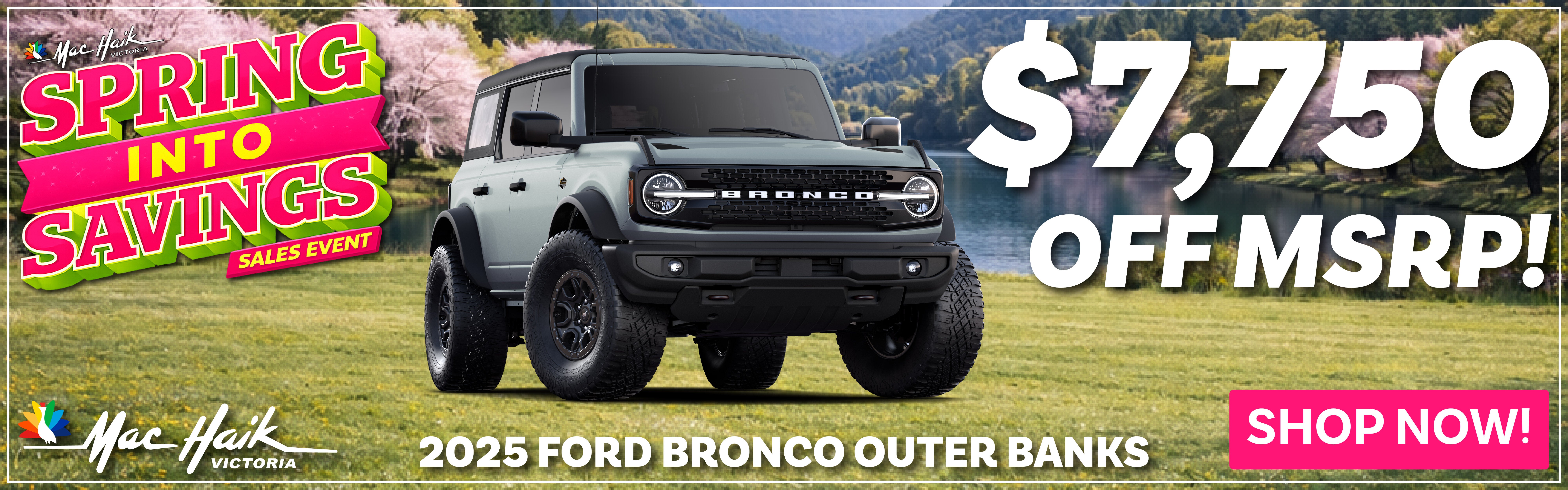 Ford Broncos