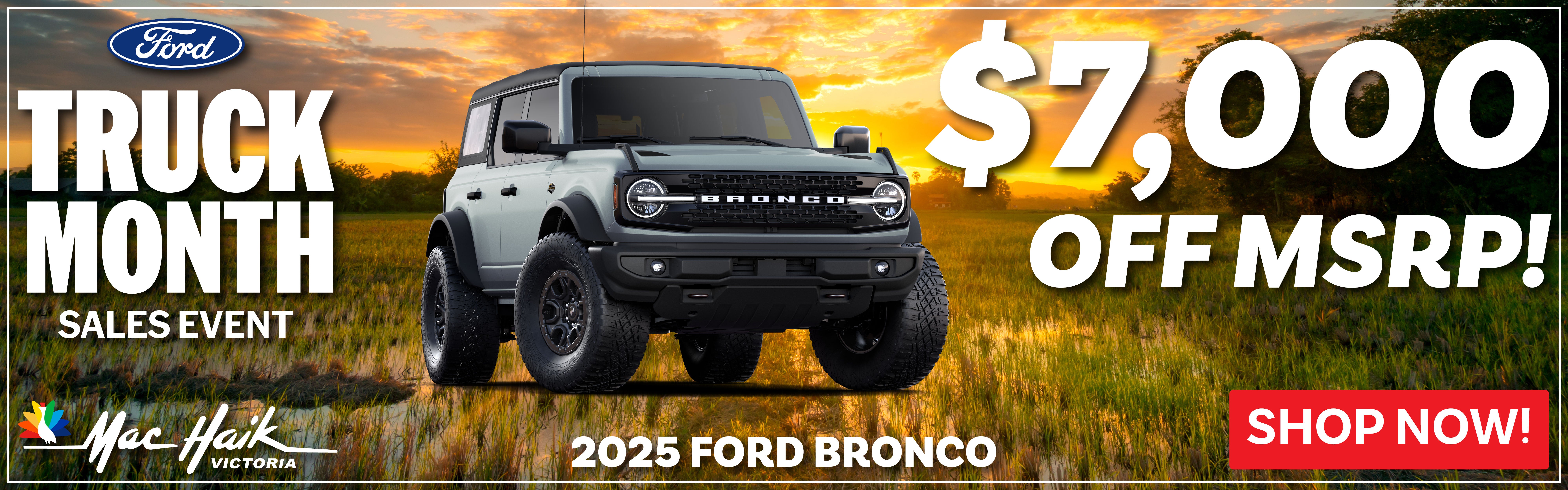 Ford Broncos